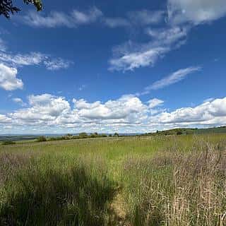 Prodej stavební parcely 902 m² Skršín, Skršín, okres Most