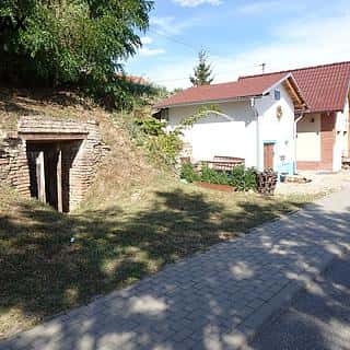 Prodej vinného sklepa 30 m² Hodonice, Hodonice, okres Znojmo