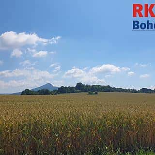 Prodej komerčního pozemku 49299 m² Pertoltice pod Ralskem, Pertoltice pod Ralskem, okres Česká Lípa