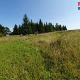Prodej stavební parcely 3719 m² Plazy, Plazy, okres Mladá Boleslav