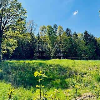 Prodej stavební parcely 3100 m² Tři Sekery, Tři Sekery, okres Cheb