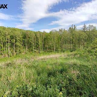 Prodej lesa 17681 m² Číměř, Číměř, okres Třebíč