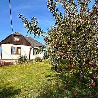 Prodej rodinného domu 157 m² Malý Beranov, Malý Beranov, okres Jihlava