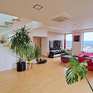 Prodej bytu 4+kk 446 m² Brno, Majdalenky, Brno, okres Brno-město