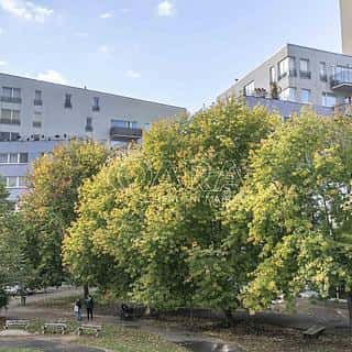 Prodej bytu 2+kk 63 m² Praha, Kudrnova, Praha