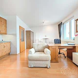 Prodej bytu 1+kk, garsoniery 30 m² Praha, Ve slatinách, Praha