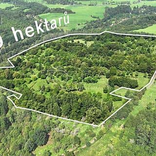 Prodej louky 199287 m² Vojkovice, Vojkovice, okres Karlovy Vary