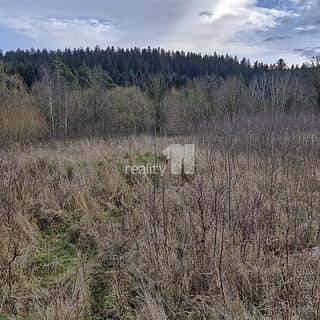 Prodej stavební parcely 2983 m² Kynšperk nad Ohří, Zlatá, Kynšperk nad Ohří, okres Sokolov