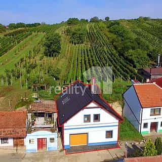 Prodej hotelu, penzionu 183 m² Bořetice, Bořetice, okres Břeclav