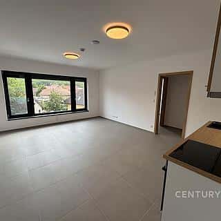 Pronájem bytu 3+kk 52 m² Bořanovice, Na Lávkách, Bořanovice, okres Praha-východ