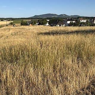 Prodej stavební parcely 6921 m² Ivaň, Ivaň, okres Brno-venkov