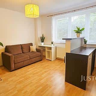 Pronájem bytu 1+kk, garsoniery 28 m² Písek, Přemyslova, Písek