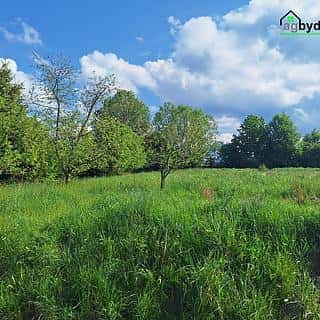 Prodej stavební parcely 2975 m² Dražovice, Dražovice, okres Klatovy