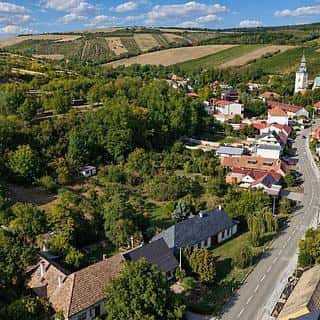 Prodej stavební parcely 3500 m² Kurdějov, Kurdějov, okres Břeclav