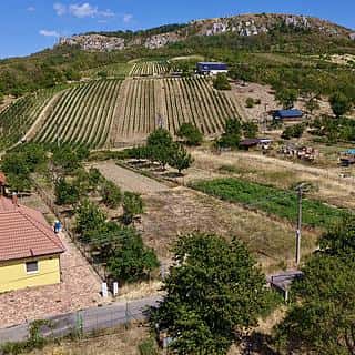 Prodej stavební parcely 916 m² Bavory, Bavory, okres Břeclav