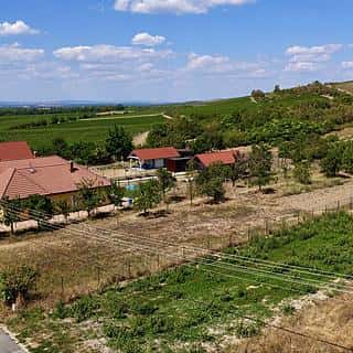 Prodej stavební parcely 905 m² Bavory, Bavory, okres Břeclav