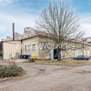 Pronájem Ostatních komerčních prostor 3100 m² Panenské Břežany, Hlavní, Panenské Břežany, okres Praha-východ