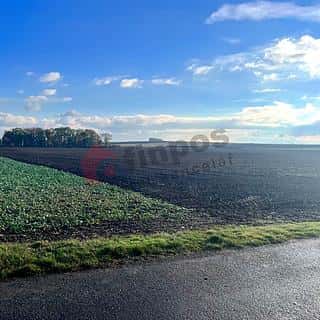 Prodej ostatních pozemků 6499 m² Přezletice, Liliová, Přezletice, okres Praha-východ