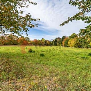 Prodej stavební parcely 7821 m² Náměšť na Hané, Nové Dvory, Náměšť na Hané, okres Olomouc