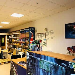 Pronájem obchodu 79 m² Brno, Sobolova, Brno, okres Brno-město