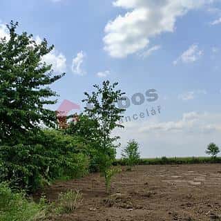 Prodej zahrady 4174 m² Charváty, Charváty, okres Olomouc