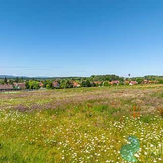 Prodej stavební parcely 1006 m² Litvínovice, Litvínovice, okres České Budějovice