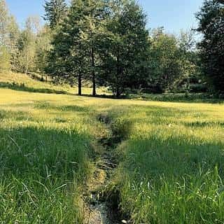 Prodej louky 6838 m² Výprachtice, Výprachtice, okres Ústí nad Orlicí