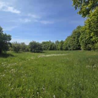 Prodej stavební parcely 961 m² Maršovice, Maršovice, okres Benešov