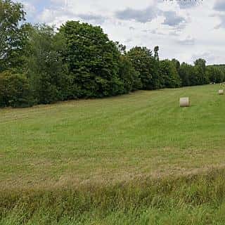 Pronájem louky 7945 m² Nespeky, V Lukách, Nespeky, okres Benešov
