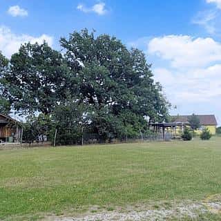 Prodej stavební parcely 800 m² Chotýčany, Chotýčany, okres České Budějovice