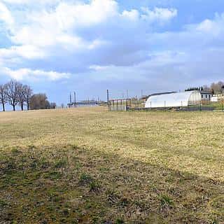 Prodej stavební parcely 971 m² Počátky, Počátky, okres Pelhřimov