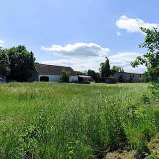 Prodej stavební parcely 1176 m² Borovany, Borovany, okres České Budějovice