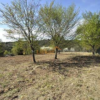 Prodej zahrady 1427 m² Bílovice nad Svitavou, Bílovice nad Svitavou, okres Brno-venkov