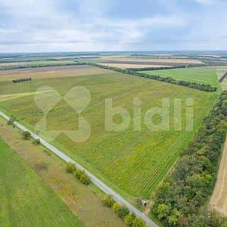 Prodej zemědělské půdy 232138 m² Pohořelice, Pohořelice, okres Brno-venkov