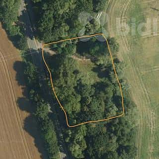 Pronájem louky 3000 m² Pardubice, Pardubice