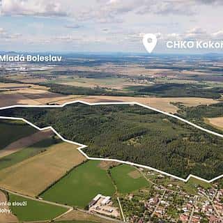 Prodej lesa 985653 m² Žerčice, Žerčice, okres Mladá Boleslav