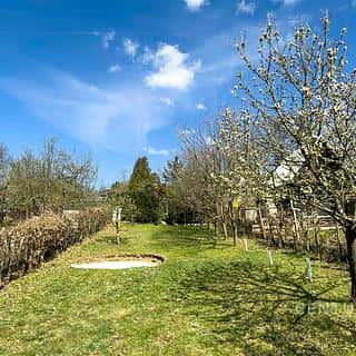 Prodej zahrady 380 m² Citonice, Citonice, okres Znojmo