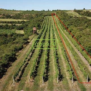 Prodej ostatních pozemků 2166 m² Starovice, Starovice, okres Břeclav