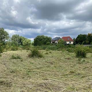 Prodej louky 2641 m² Tachlovice, Tachlovice, okres Praha-západ
