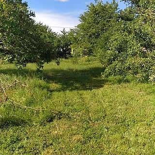 Prodej stavební parcely 659 m² Šanov, U dráhy, Šanov, okres Znojmo