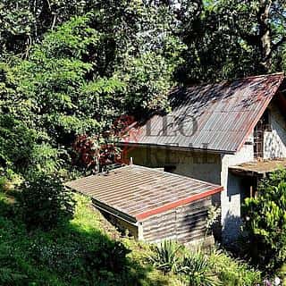 Prodej chaty 66 m² Tuřice, Tuřice, okres Mladá Boleslav