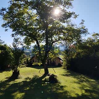 Prodej stavební parcely 705 m² Žabovřesky, Žabovřesky, okres České Budějovice