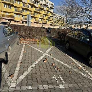 Pronájem parkovacího místa 13 m² Olomouc, Okružní, Olomouc