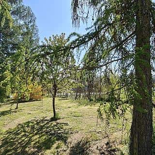 Prodej stavební parcely 4421 m² Bartošovice, Bartošovice, okres Nový Jičín