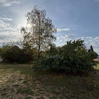 Prodej stavební parcely 721 m² Dívčice, Dívčice, okres České Budějovice