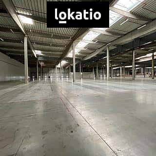 Pronájem skladu 18297 m² Pohořelice, Pohořelice, okres Brno-venkov