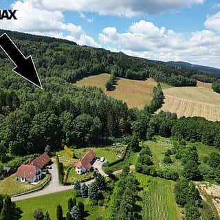 Prodej lesa 4606 m² Šimonovice, Šimonovice, okres Liberec
