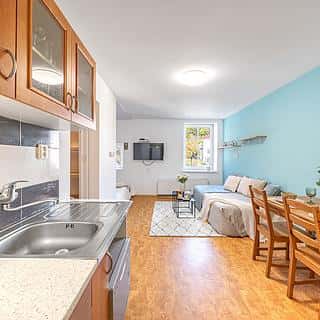 Prodej bytu 1+kk, garsoniery 29 m² Kořenov, Kořenov, okres Jablonec nad Nisou