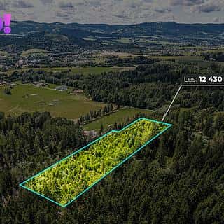 Prodej lesa 12430 m² Písek, Písek, okres Frýdek-Místek