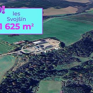 Prodej lesa 1625 m² Svojšín, Svojšín, okres Tachov